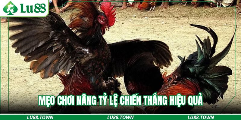 Mẹo chơi nâng tỷ lệ chiến thắng hiệu quả